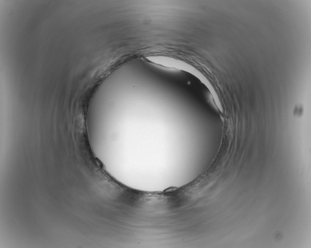 X0000090450617200708102051