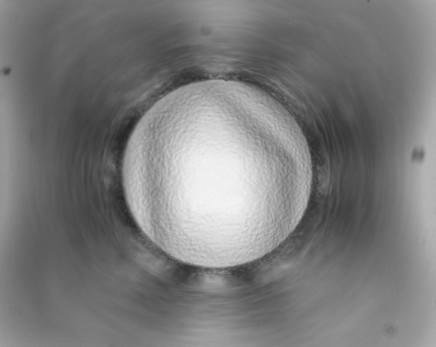 X0000090450618200708102051