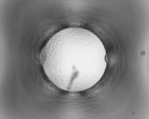 X0000090450619200708102051