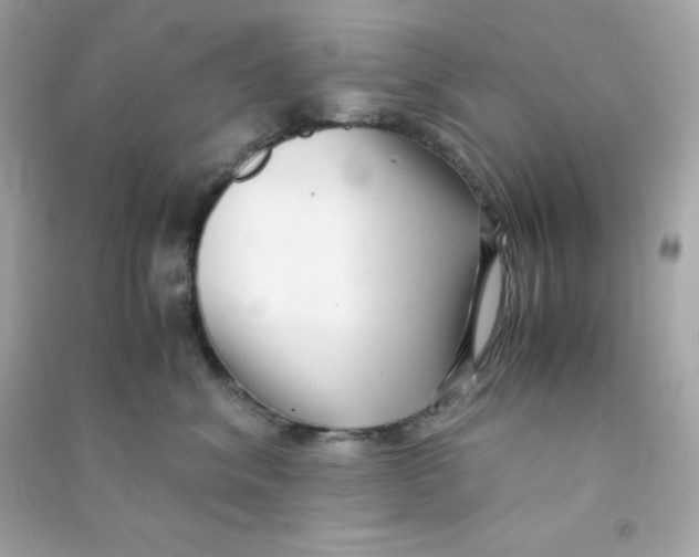 X0000090450620200708102051