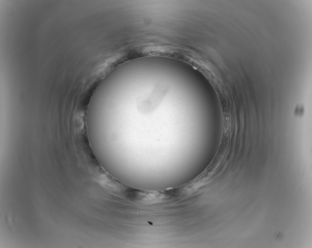 X0000090450621200708102051