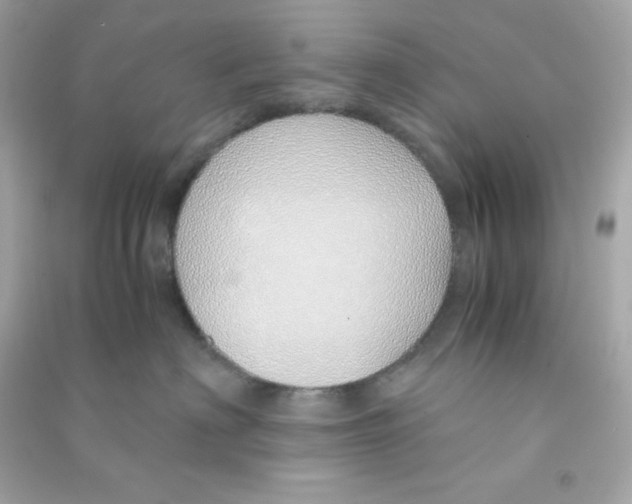 X0000090450622200708102051