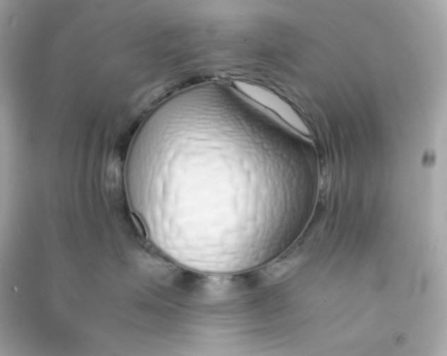 X0000090450623200708102051