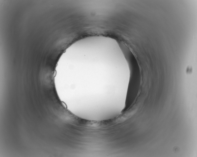 X0000090450624200708102051