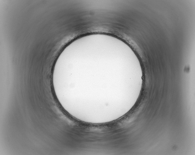 X0000090450625200708102050