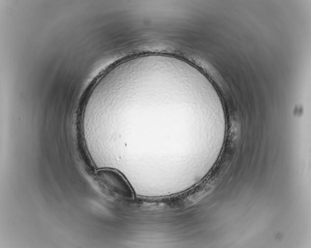 X0000090450626200708102050