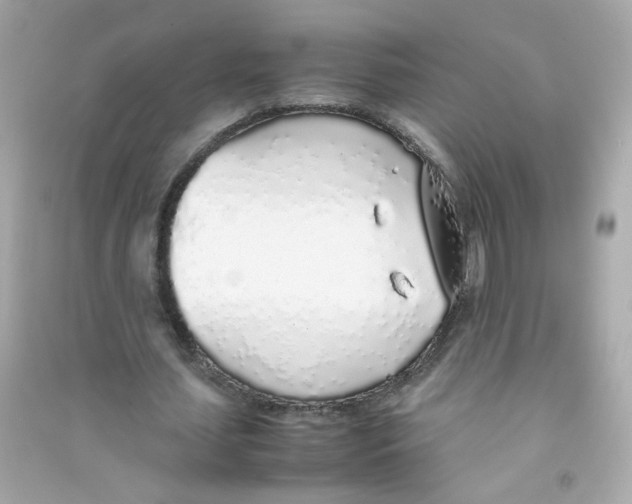 X0000090450627200708102050