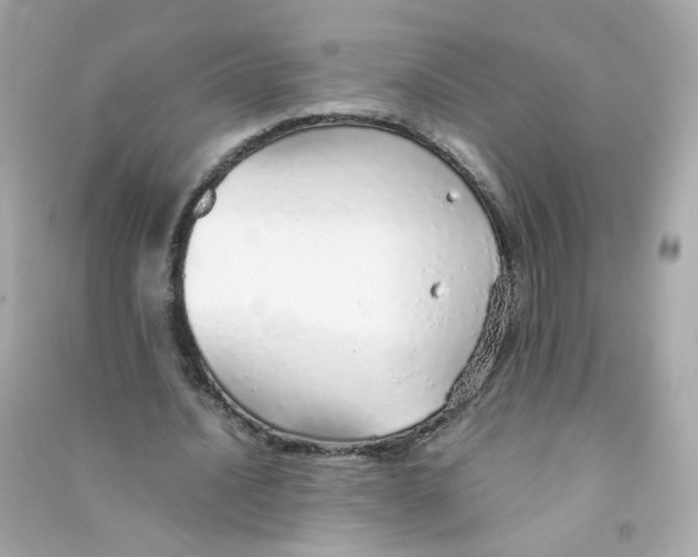 X0000090450628200708102050