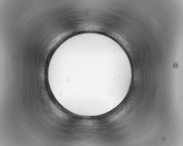 X0000090450629200708102050