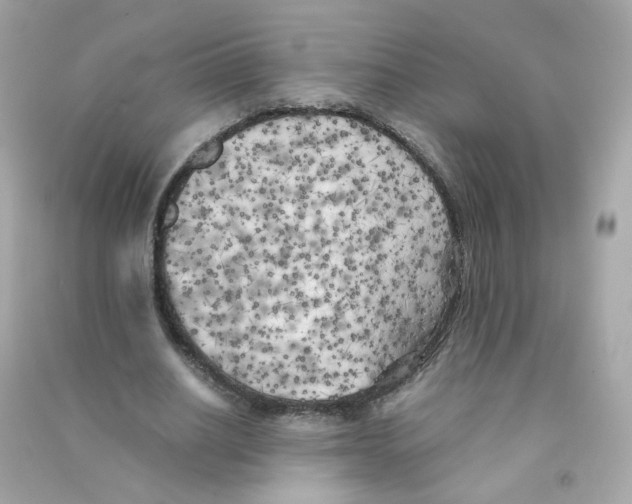 X0000090450630200708102050