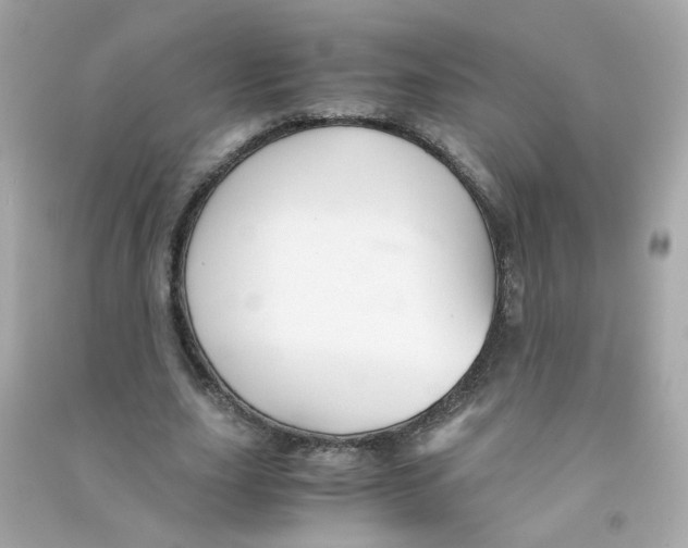 X0000090450631200708102050