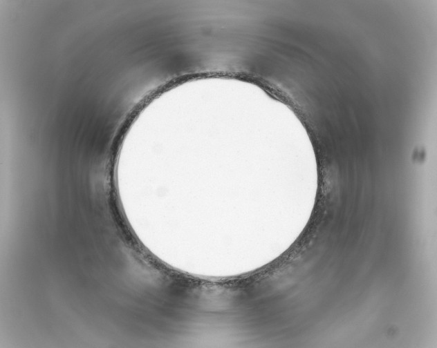 X0000090450632200708102050