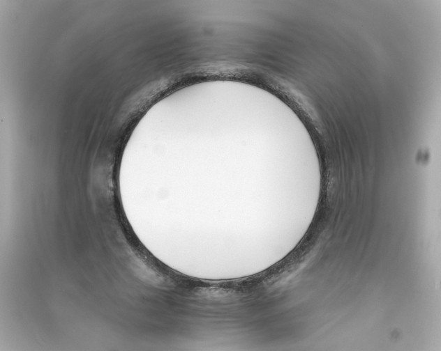 X0000090450633200708102050