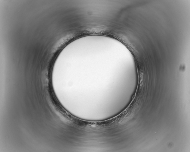 X0000090450634200708102050