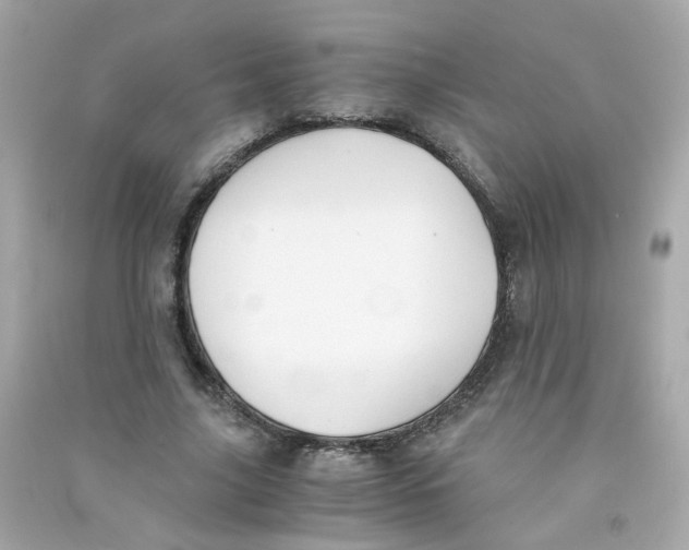 X0000090450635200708102050