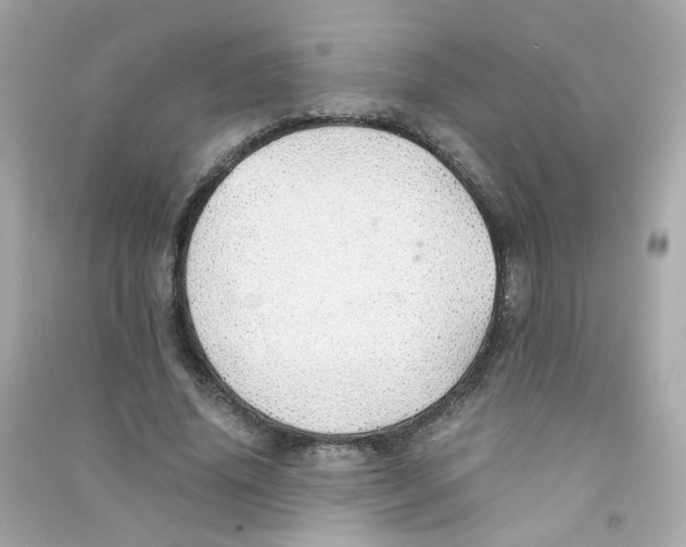 X0000090450636200708102050