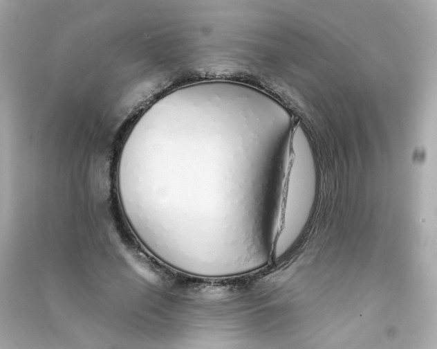 X0000090450638200708102050