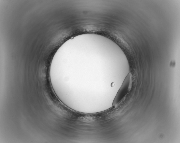 X0000090450639200708102050