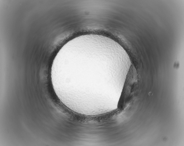 X0000090450640200708102050