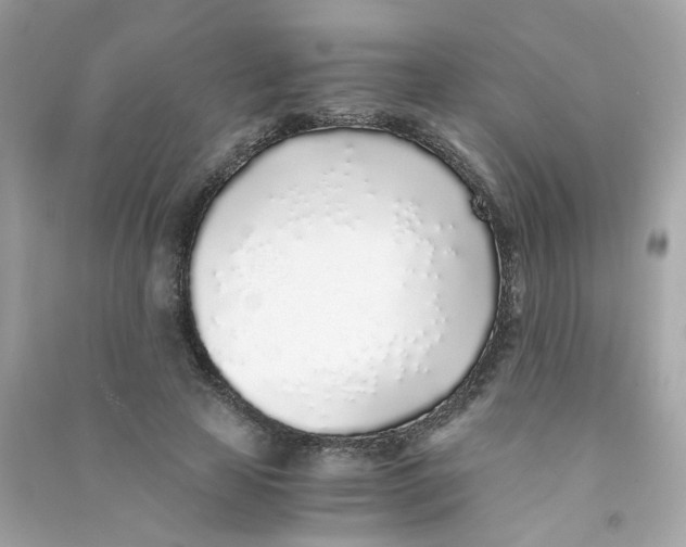 X0000090450641200708102050