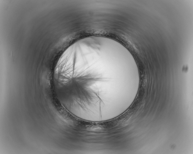 X0000090450643200708102050