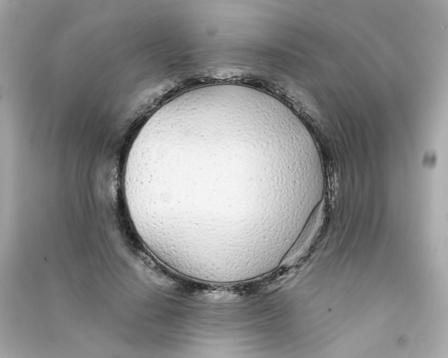 X0000090450644200708102050