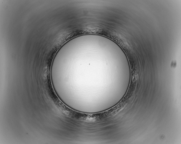 X0000090450647200708102050