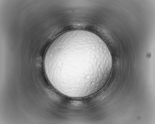 X0000090450649200708102050