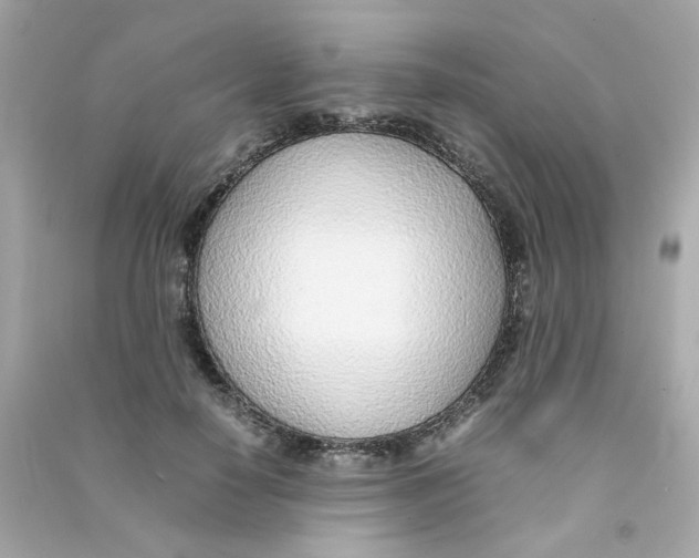 X0000090450650200708102050