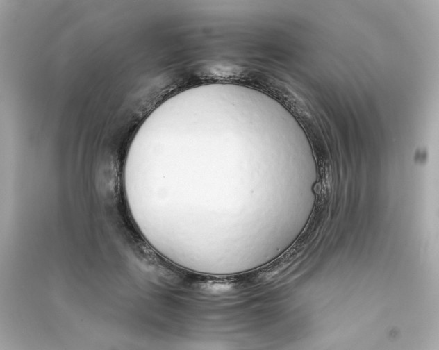 X0000090450651200708102050