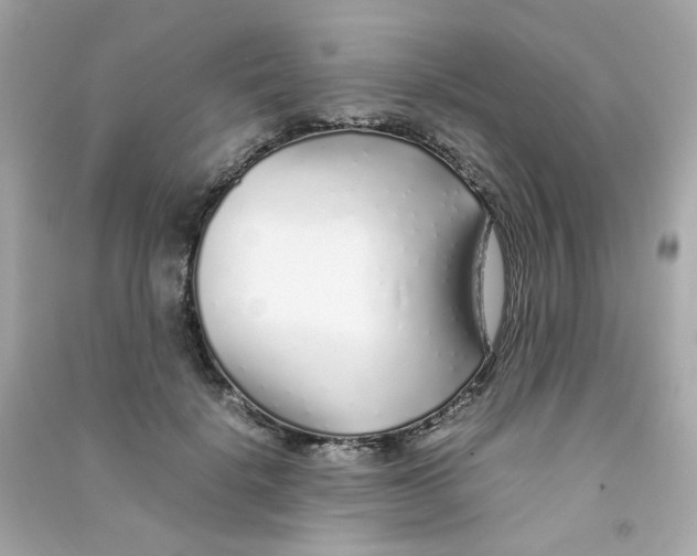 X0000090450652200708102050