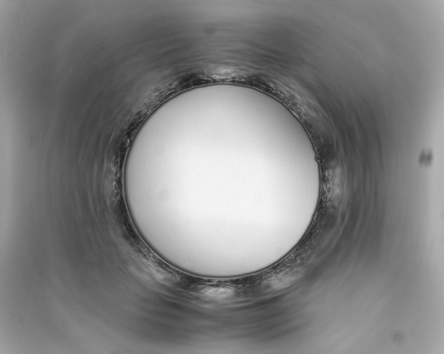 X0000090450653200708102050