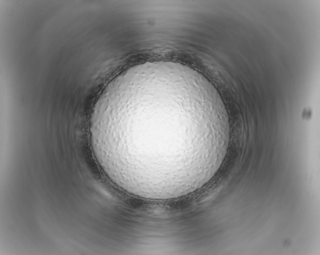 X0000090450654200708102050