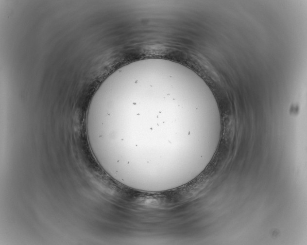 X0000090450655200708102050