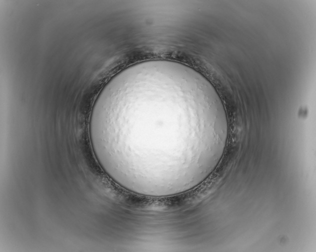 X0000090450656200708102051