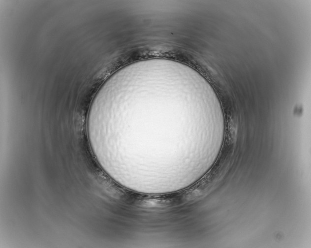 X0000090450657200708102051