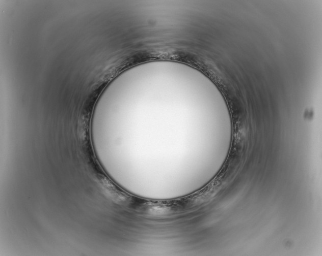 X0000090450658200708102051