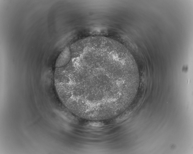 X0000090450659200708102051