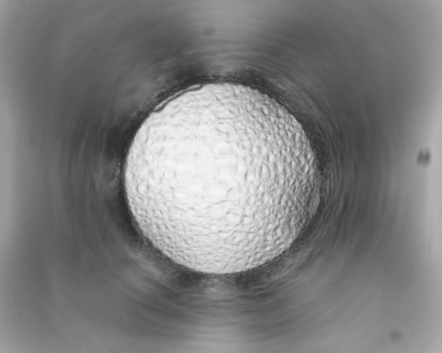 X0000090450660200708102051