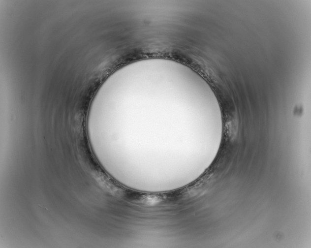 X0000090450662200708102051