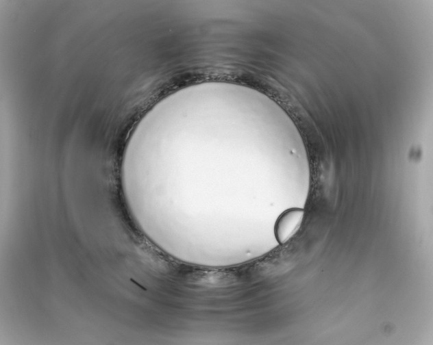 X0000090450663200708102051