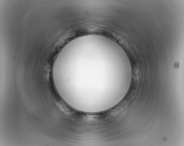 X0000090450664200708102051