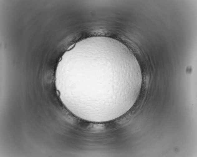 X0000090450665200708102051