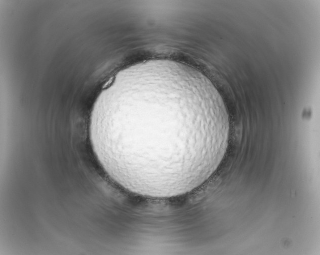 X0000090450666200708102051