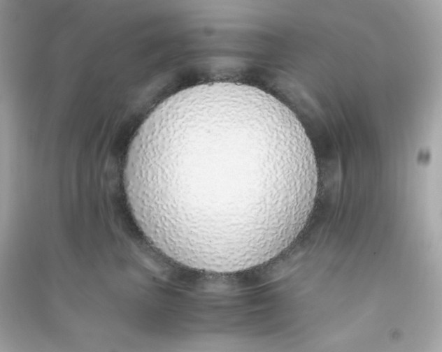 X0000090450667200708102051