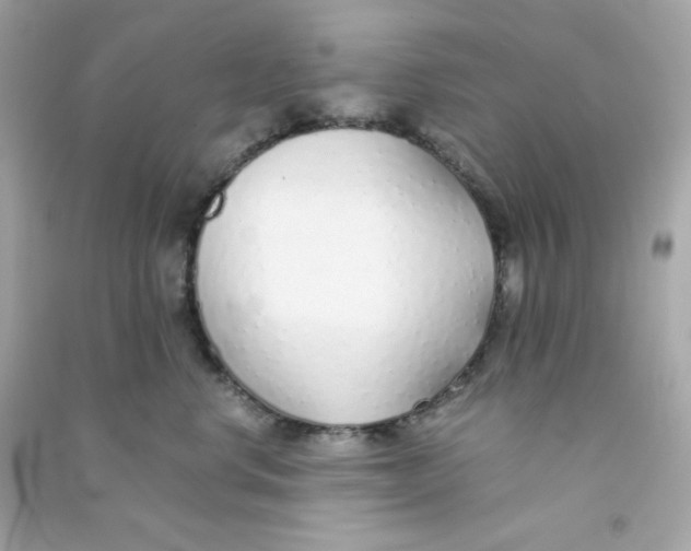 X0000090450668200708102051