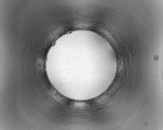 X0000090450669200708102051