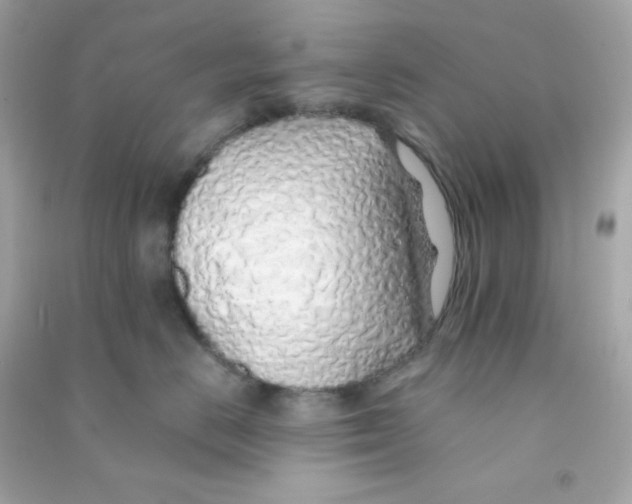 X0000090450670200708102051