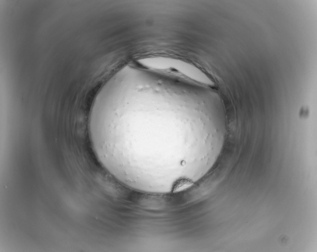 X0000090450671200708102051