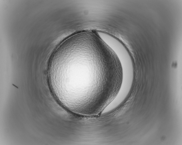 X0000090450673200708102050